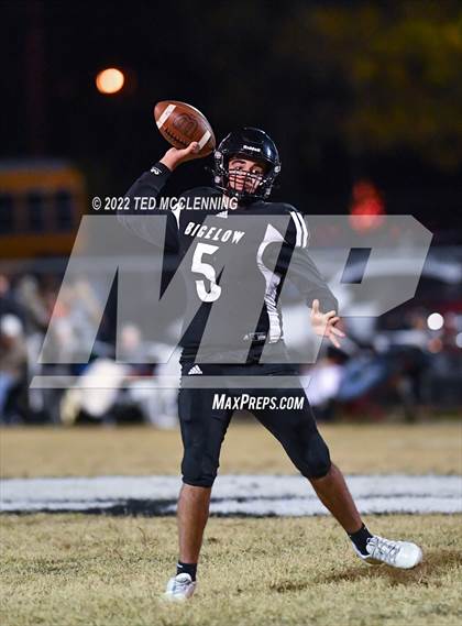 Thumbnail 3 in Earle @ Bigelow (AAA 2A First Round Playoff) photogallery.