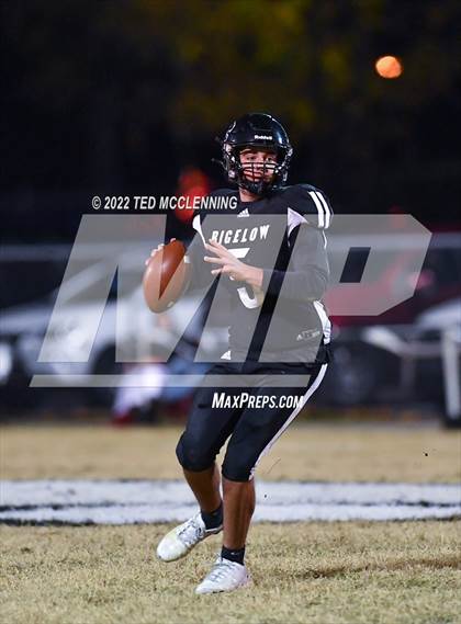 Thumbnail 1 in Earle @ Bigelow (AAA 2A First Round Playoff) photogallery.