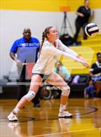 Photo from the gallery "South View @ Purnell Swett"