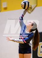 Photo from the gallery "South View @ Purnell Swett"
