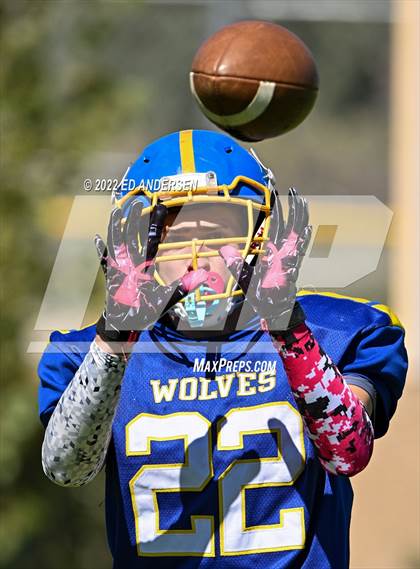 Thumbnail 2 in Smith Valley @ Coleville photogallery.