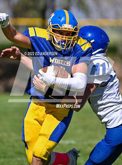 Thumbnail 2 in Smith Valley @ Coleville photogallery.