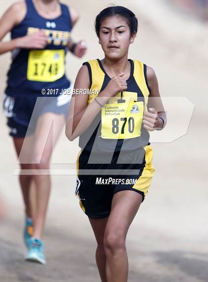 Thumbnail 3 in CIF State Cross Country Championships (Girls D4 Race) photogallery.