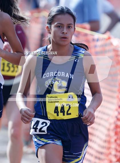 Thumbnail 2 in CIF State Cross Country Championships (Girls D4 Race) photogallery.