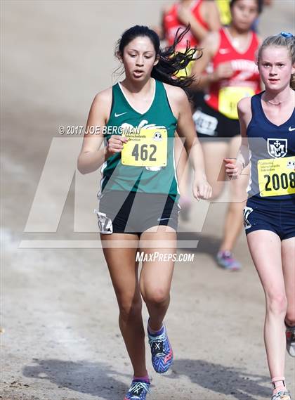 Thumbnail 2 in CIF State Cross Country Championships (Girls D4 Race) photogallery.