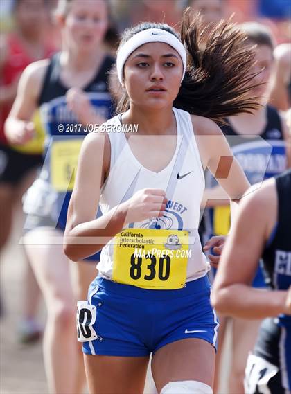 Thumbnail 2 in CIF State Cross Country Championships (Girls D4 Race) photogallery.