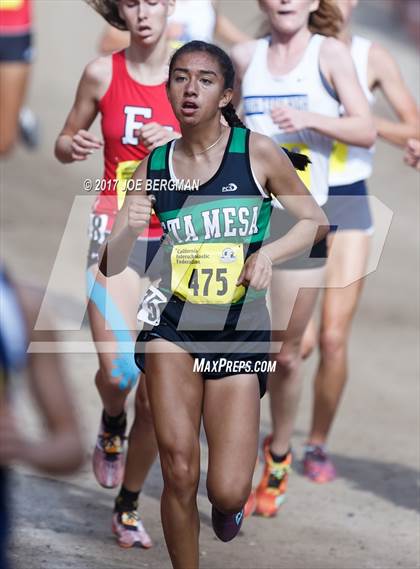 Thumbnail 1 in CIF State Cross Country Championships (Girls D4 Race) photogallery.