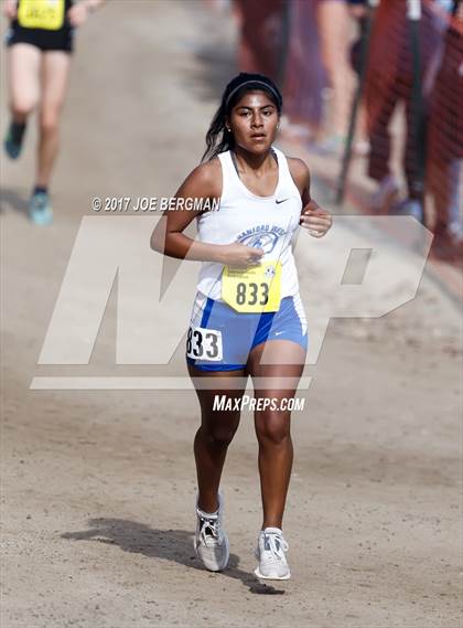Thumbnail 2 in CIF State Cross Country Championships (Girls D4 Race) photogallery.