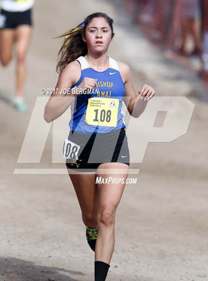 Thumbnail 2 in CIF State Cross Country Championships (Girls D4 Race) photogallery.