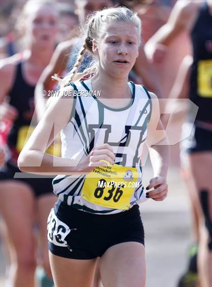 Thumbnail 3 in CIF State Cross Country Championships (Girls D4 Race) photogallery.