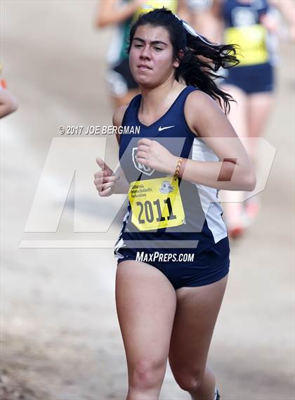 Thumbnail 1 in CIF State Cross Country Championships (Girls D4 Race) photogallery.