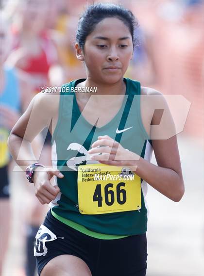 Thumbnail 1 in CIF State Cross Country Championships (Girls D4 Race) photogallery.