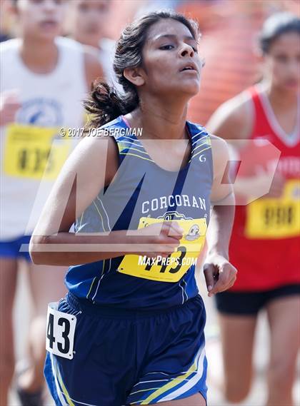 Thumbnail 3 in CIF State Cross Country Championships (Girls D4 Race) photogallery.