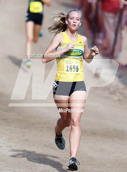 Thumbnail 1 in CIF State Cross Country Championships (Girls D4 Race) photogallery.