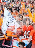 Photo from the gallery "Hayfield @ West Springfield"