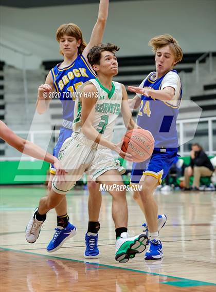 Thumbnail 1 in Brock @ Azle photogallery.