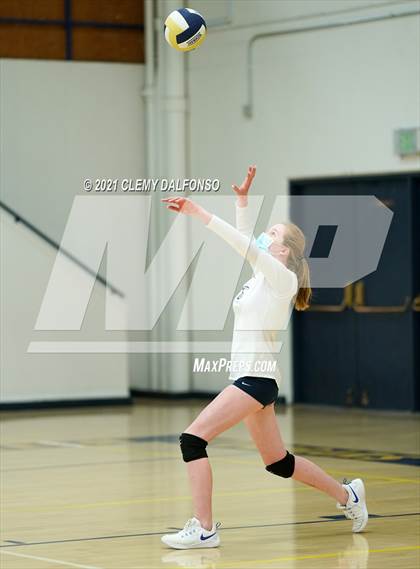Thumbnail 2 in Golden @ Evergreen photogallery.