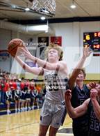 Photo from the gallery "Leo @ Norwell"