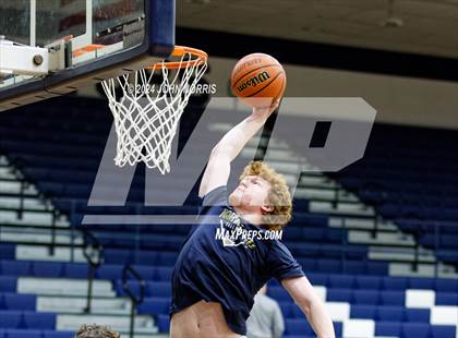 Thumbnail 1 in Leo @ Norwell photogallery.