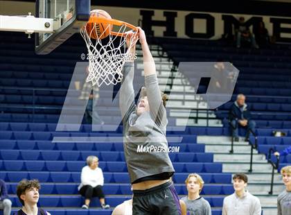 Thumbnail 3 in Leo @ Norwell photogallery.