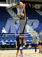 Photo from the gallery "Leo @ Norwell"