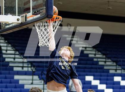 Thumbnail 2 in Leo @ Norwell photogallery.