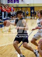 Photo from the gallery "Leo @ Norwell"