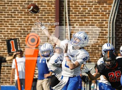 Thumbnail 2 in Ryle @ Highlands photogallery.
