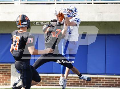 Thumbnail 3 in Ryle @ Highlands photogallery.