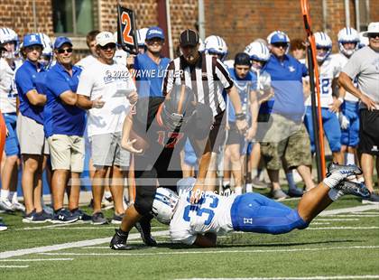 Thumbnail 2 in Ryle @ Highlands photogallery.