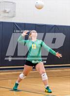 Photo from the gallery "Richmond @ Pinecrest"