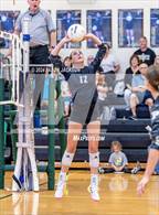 Photo from the gallery "Richmond @ Pinecrest"