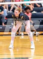 Photo from the gallery "Richmond @ Pinecrest"