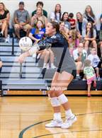 Photo from the gallery "Richmond @ Pinecrest"