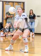 Photo from the gallery "Richmond @ Pinecrest"