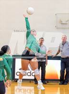 Photo from the gallery "Richmond @ Pinecrest"