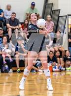 Photo from the gallery "Richmond @ Pinecrest"