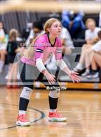 Photo from the gallery "Richmond @ Pinecrest"