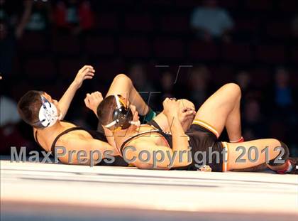 Thumbnail 2 in CIF State Wrestling Championships (Finals) photogallery.
