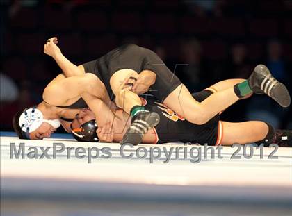 Thumbnail 1 in CIF State Wrestling Championships (Finals) photogallery.