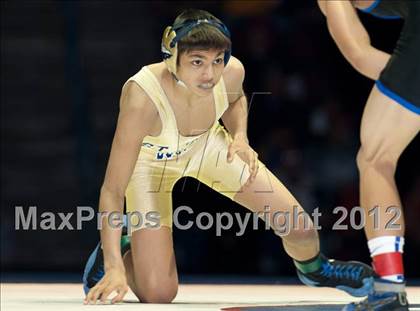 Thumbnail 2 in CIF State Wrestling Championships (Finals) photogallery.