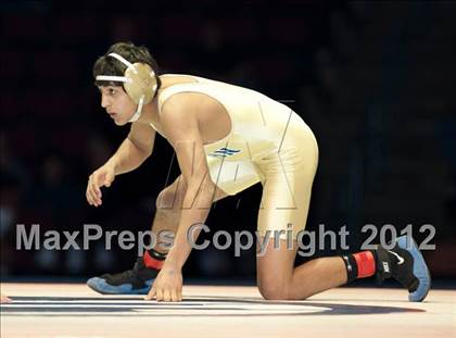 Thumbnail 2 in CIF State Wrestling Championships (Finals) photogallery.