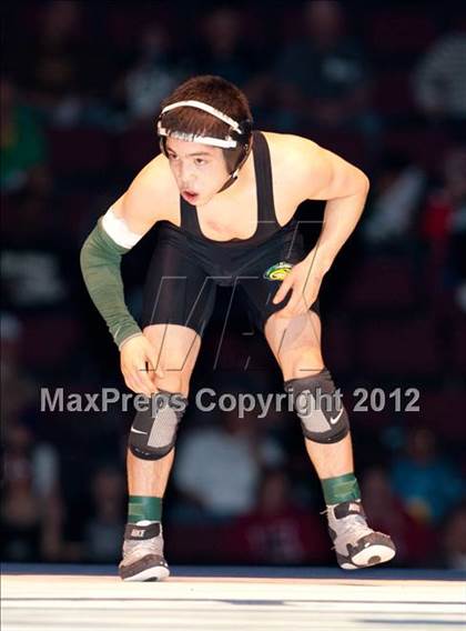 Thumbnail 2 in CIF State Wrestling Championships (Finals) photogallery.
