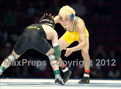 Thumbnail 1 in CIF State Wrestling Championships (Finals) photogallery.