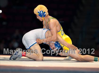 Thumbnail 3 in CIF State Wrestling Championships (Finals) photogallery.