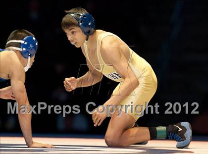 Thumbnail 3 in CIF State Wrestling Championships (Finals) photogallery.