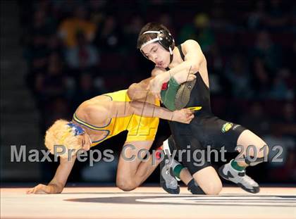 Thumbnail 3 in CIF State Wrestling Championships (Finals) photogallery.