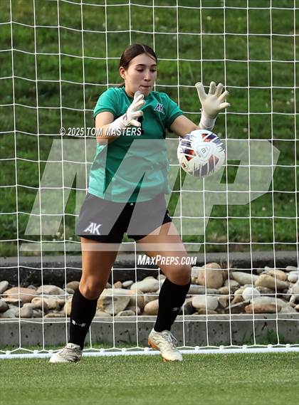 Thumbnail 1 in Ashley vs. Ardrey Kell (NCHSAA 4A Championship) photogallery.