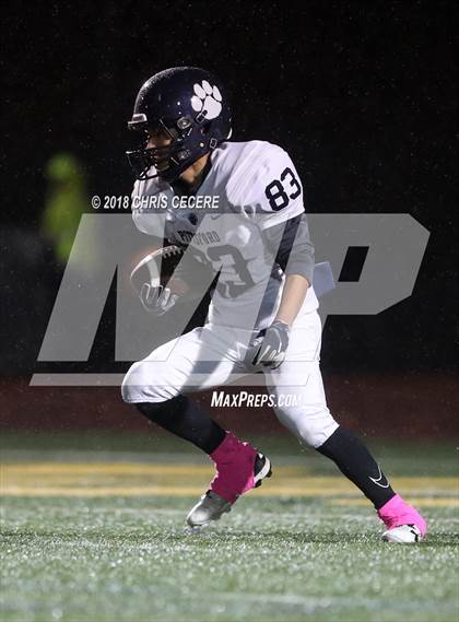Thumbnail 1 in Pittsford vs. Aquinas Institute (Section 5 Class AA Semifinal) photogallery.