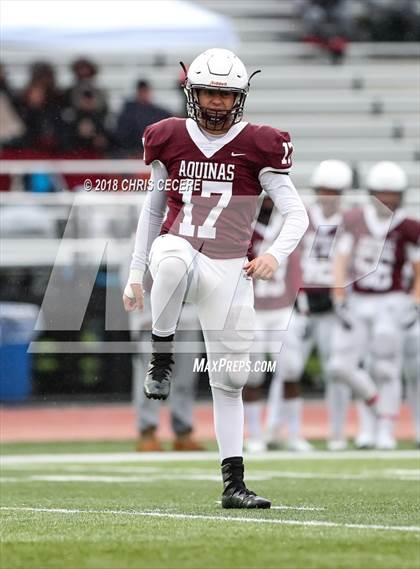 Thumbnail 1 in Pittsford vs. Aquinas Institute (Section 5 Class AA Semifinal) photogallery.